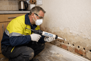 Damp Proofing treatment