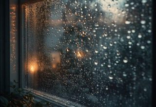 professional condensation removal